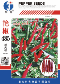 科光種苗“艷椒485”辣椒、“秋實1號”甘藍分別入選2025年農(nóng)業(yè)主導品種、農(nóng)作物優(yōu)良品種推廣目錄